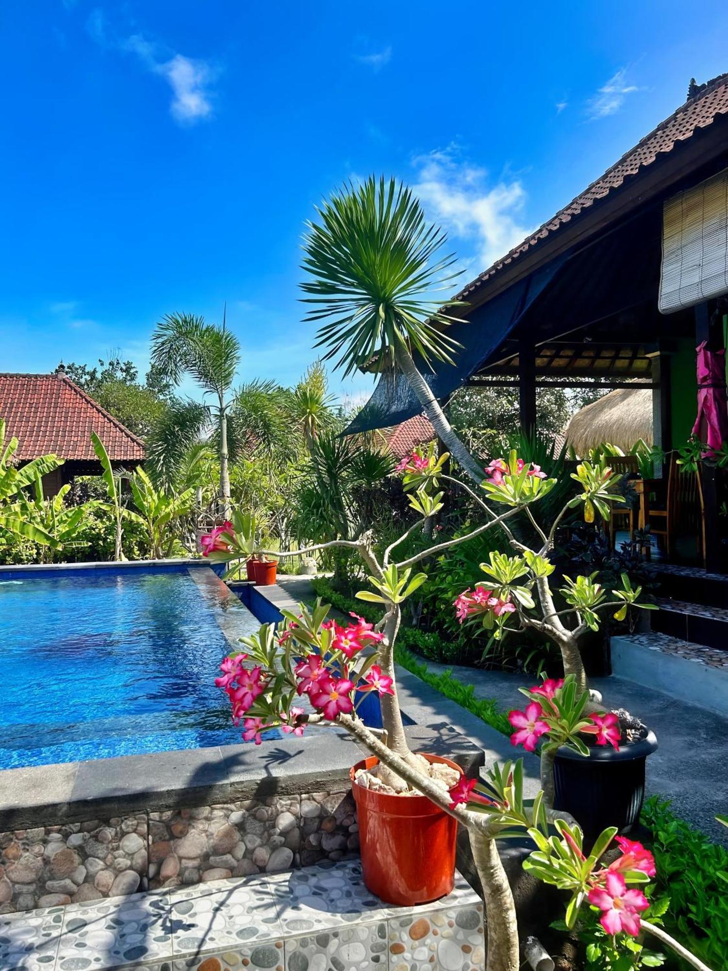 Island Garden Huts Lembongan Bed & Breakfast ภายนอก รูปภาพ