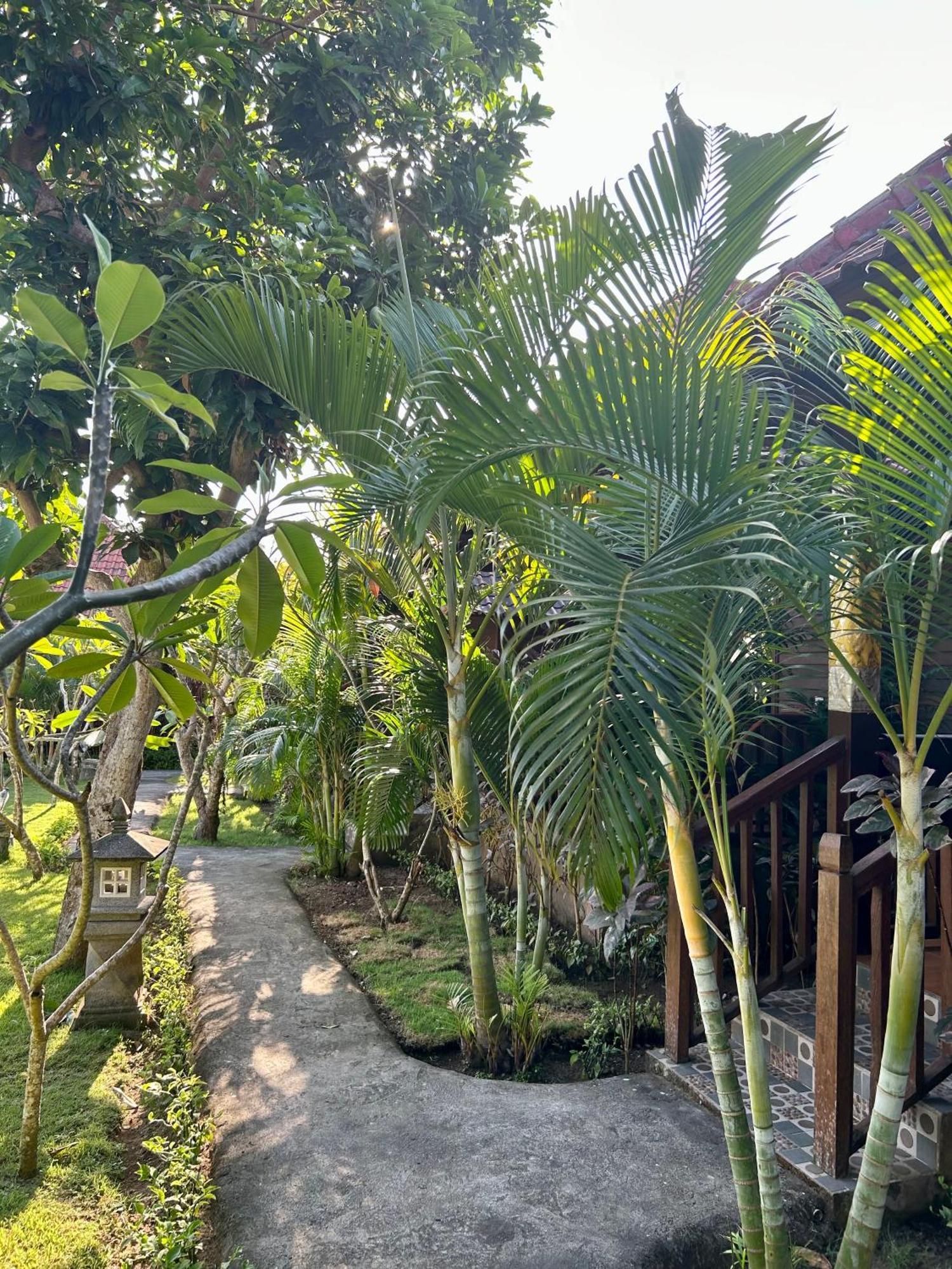 Island Garden Huts Lembongan Bed & Breakfast ภายนอก รูปภาพ