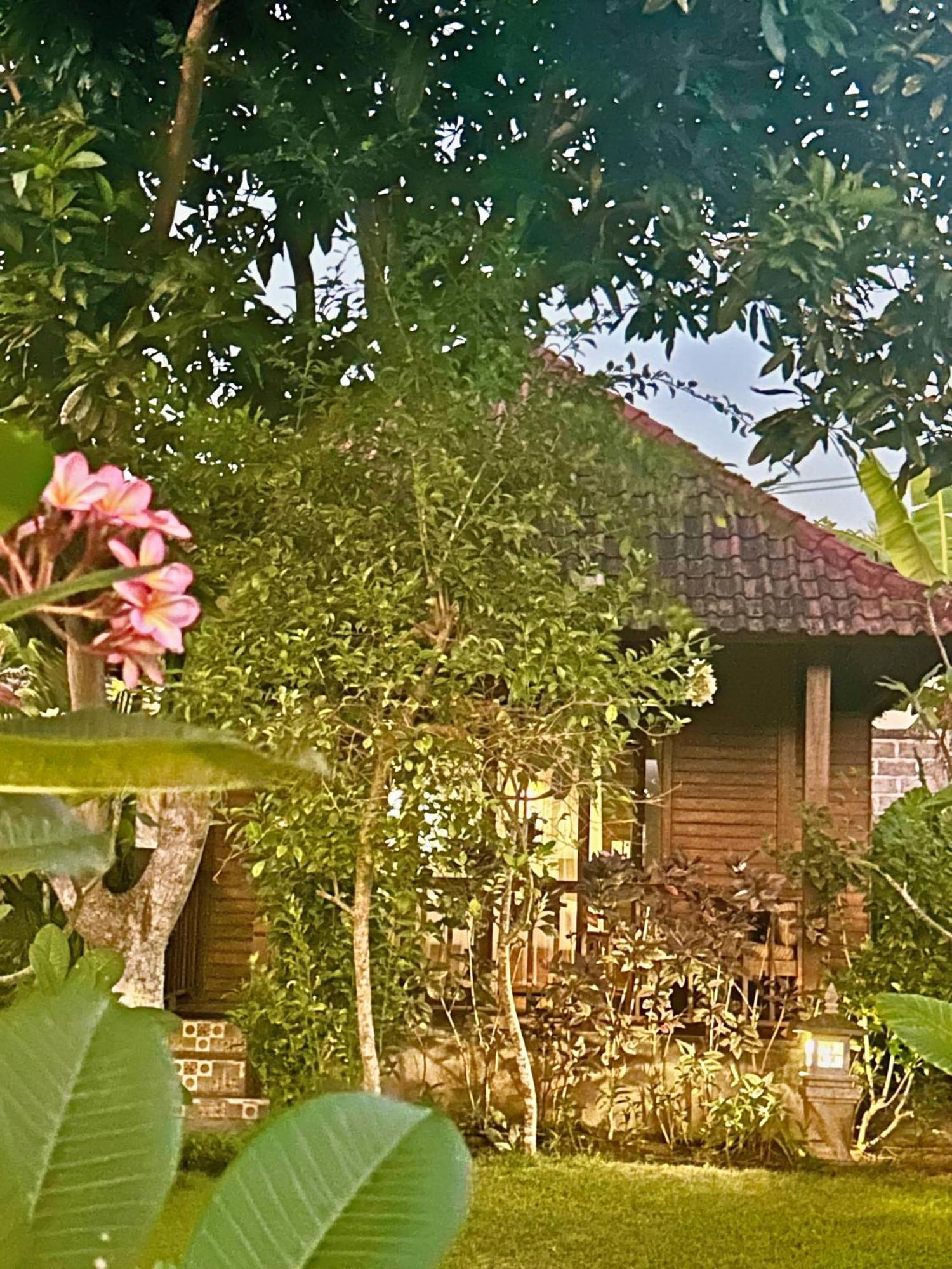 Island Garden Huts Lembongan Bed & Breakfast ภายนอก รูปภาพ