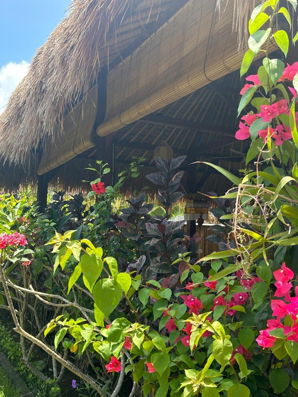 Island Garden Huts Lembongan Bed & Breakfast ภายนอก รูปภาพ