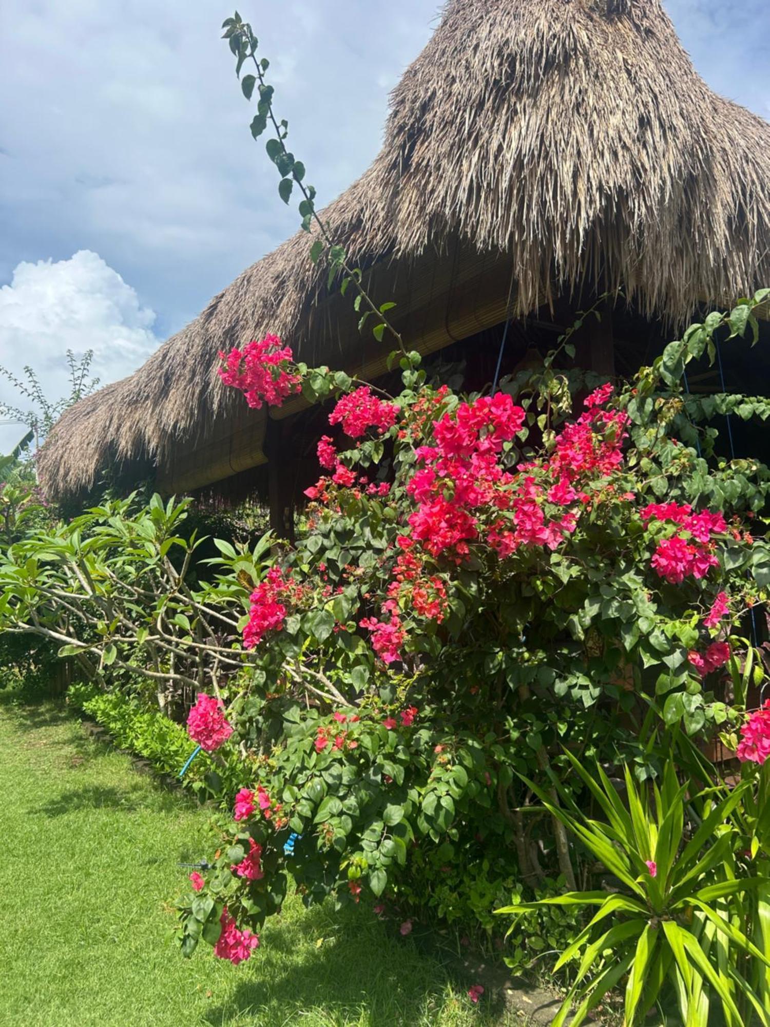 Island Garden Huts Lembongan Bed & Breakfast ภายนอก รูปภาพ