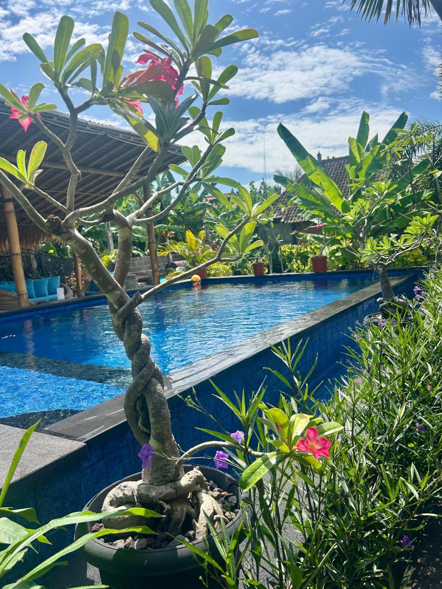 Island Garden Huts Lembongan Bed & Breakfast ภายนอก รูปภาพ