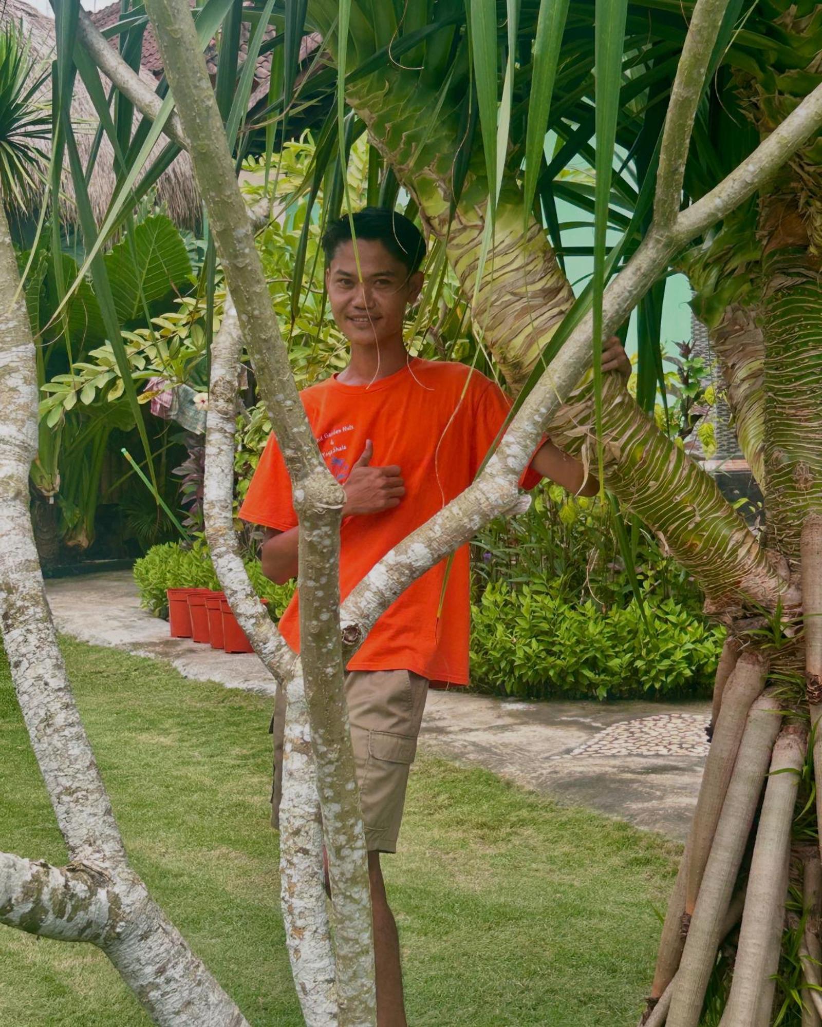 Island Garden Huts Lembongan Bed & Breakfast ภายนอก รูปภาพ